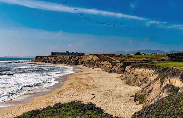 Learn more about Half Moon Bay